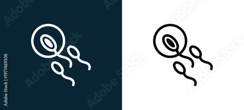Slika na platnu Two-color sperm entering to an ovule outline icon pair in black and white, edita