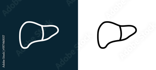 Two-color liver outline icon pair in black and white, editable stroke vector illustration for web, mobile apps, UI design, branding, and print from body parts