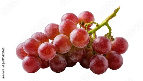 Cluster of ripe red grapes with green stem, isolated on transparent background