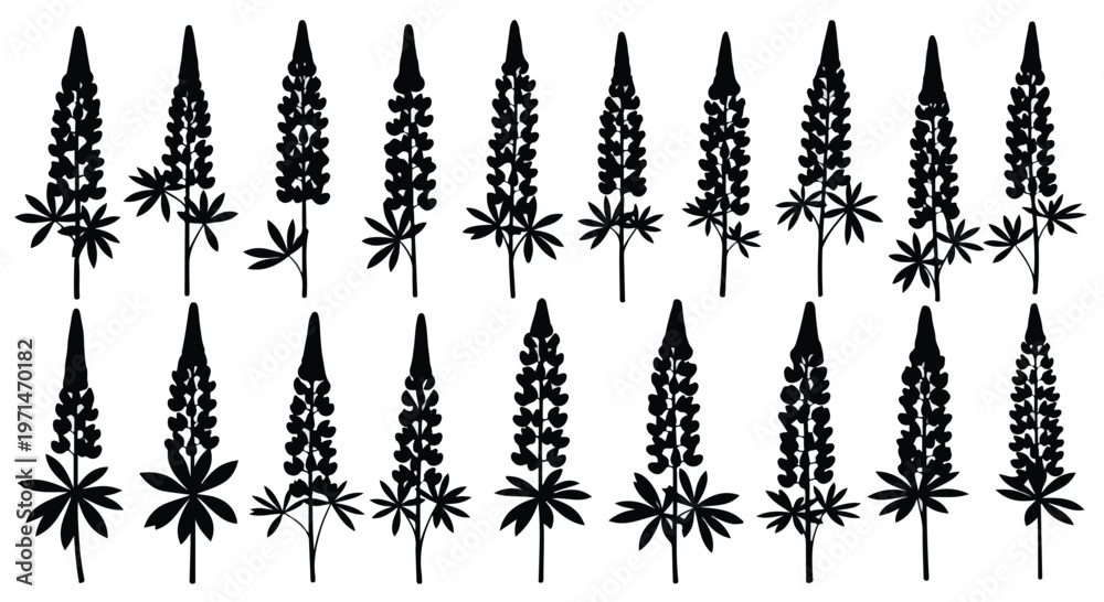 Fototapeta premium Collection of black silhouette lupine flowers and leaves arranged in a decorative pattern on a white background