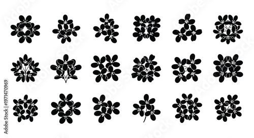 Collection of abstract floral motifs and botanical elements in a minimalist black and white graphic design arrangement
