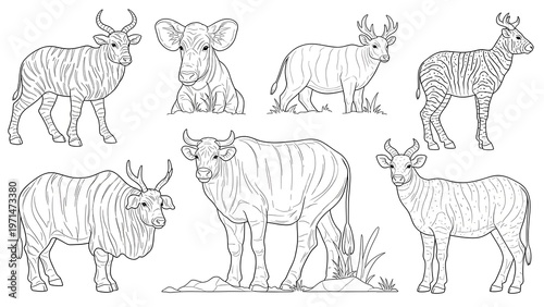 Collection of wild safari animals in detailed black and white line art, featuring graceful antelopes, striped zebras, and powerful bovines, perfect for educational designs and coloring projects