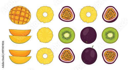 Colorful illustration of various tropical fruits and slices