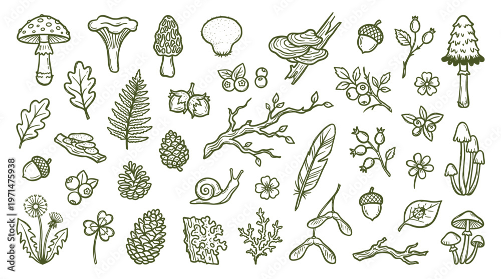 Fototapeta premium Whimsical Forest Elements Collection Hand Drawn Sketch Style