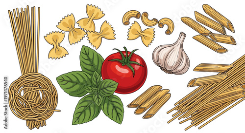 Various types of pasta with fresh tomato basil and garlic