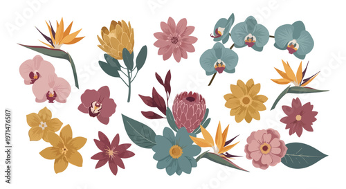 Collection of exotic tropical flowers and orchids in various colors and shapes on a white background