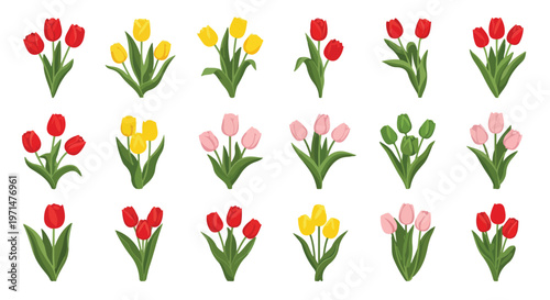Collection of colorful tulip bouquets in red, yellow, pink, and green, representing spring and floral beauty