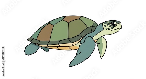 Sea turtle illustration, cartoon style drawing of marine animal swimming in ocean. Nature and wildlife art.