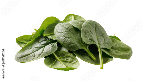 Photos Pile of fresh green spinach leaves, isolated on transparent background