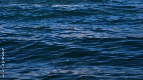 Cinematic shot of Pangong Lake during early morning, with soft golden light reflecting on the calm water as birds gently glide across the surface. Ideal moment for travel and nature storytelling.