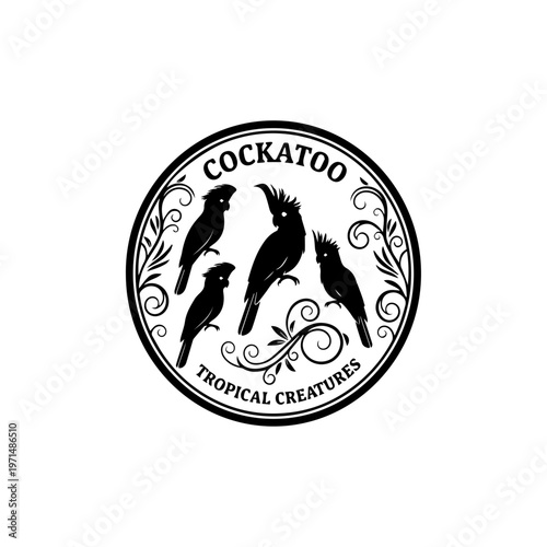 The cockatoo is a beautiful and intelligent parrot known for its striking crest and playful personality. Native to regions like Australia, Indonesia, and nearby islands, cockatoos are easily recognize