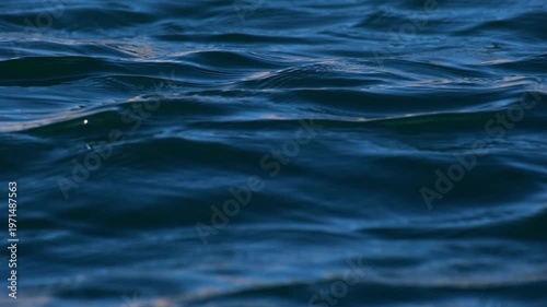 Cinematic shot of Pangong Lake during early morning, with soft golden light reflecting on the calm water as birds gently glide across the surface. Ideal moment for travel and nature storytelling.