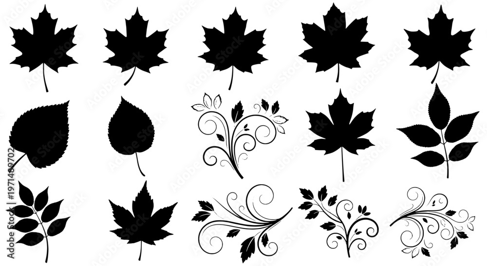 Fototapeta premium Leaves black silhouettes set with various shapes and floral designs on white background. featuring plant icons, botanical illustrations, vector