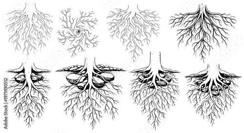 Lungs human organ set with detailed internal structures and branches, black and white medical illustrations