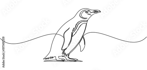 Vector illustration of a penguin for penguin day	 on line art style