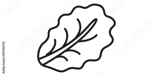 A simple black and white line art illustration representing a single fresh organic lettuce leaf Vector, illustration