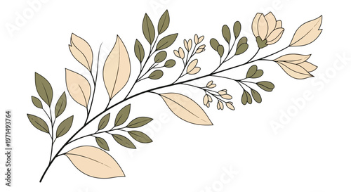 Delicate botanical illustration of a flowering branch with soft beige and green leaves on a white background
