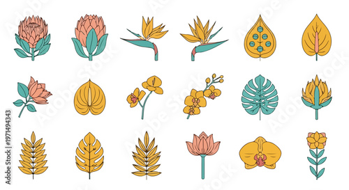 Collection of diverse tropical and exotic flowers and leaves in a flat design style with outline