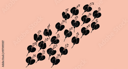 Delicate black bleeding heart flowers arranged in a diagonal pattern on a soft pink background