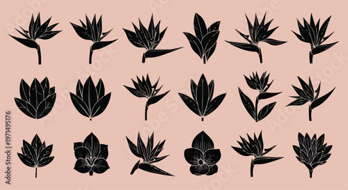 Collection of black silhouette tropical bird of paradise and orchid flowers on a soft pink background