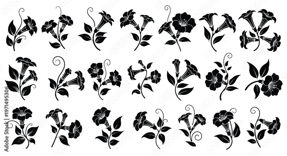 Fototapeta premium Collection of elegant black silhouette floral elements featuring blooming flowers and swirling vines on a white