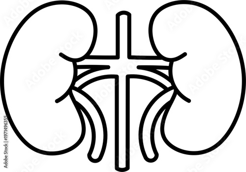 Simple organ outline