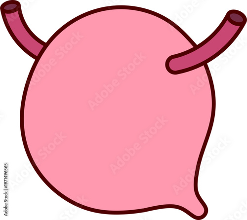 Bladder anatomy icon