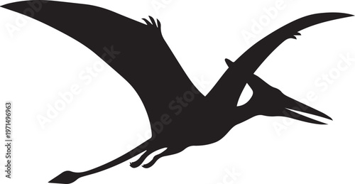 Pterodactyl Silhouette Dinosaur Prehistoric Vector
