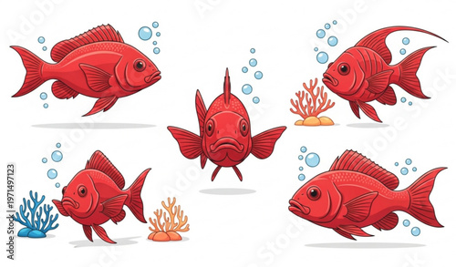 :
Red Tropical Fish Set Vector Collection with Aquarium Marine Life Illustration