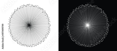 Dense radial burst of curved dot-tipped lines from central point shown on white and black backgrounds. Vector illustration for AI, neural network, organic science and abstract design concepts.