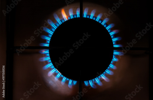 Photos Top view of blue gas flames burning on a kitchen stove burner ring