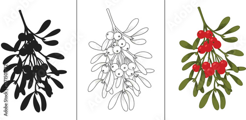 mistletoe vector illustration, mistletoe berry branch clipart, christmas mistletoe plant, mistletoe silhouette vector, holiday mistletoe illustration set