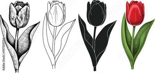 mistletoe vector illustration, mistletoe berry branch clipart, christmas mistletoe plant, mistletoe silhouette vector, holiday mistletoe illustration set