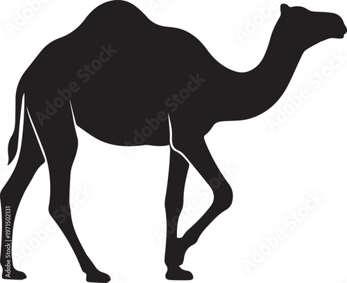 Camel Silhouette Desert Animal Vector Graphic