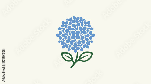 Simple Blue Hydrangea Flower On Cream Background