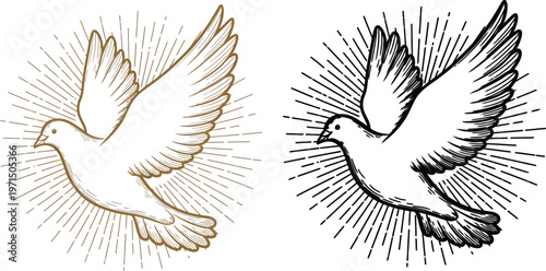 Elegant dove with outspread wings symbolizing peace and freedom in intricate line art