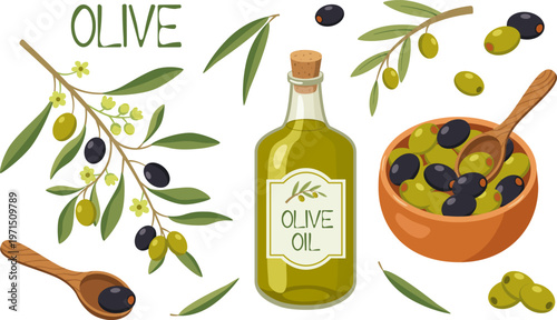 Olive oil bottle, green and black olives in bowl, and branches set. Mediterranean food ingredients and icons isolated on white background.