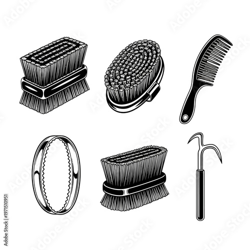 Grooming Tools: Brushes, Comb, Hoof Pick, and Curry Comb Vector Set