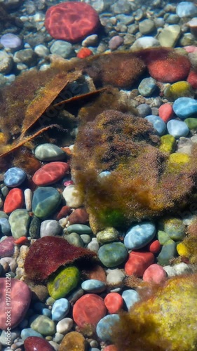 Leaves and Pebbles in Shallow Water/Riverbed/Forest