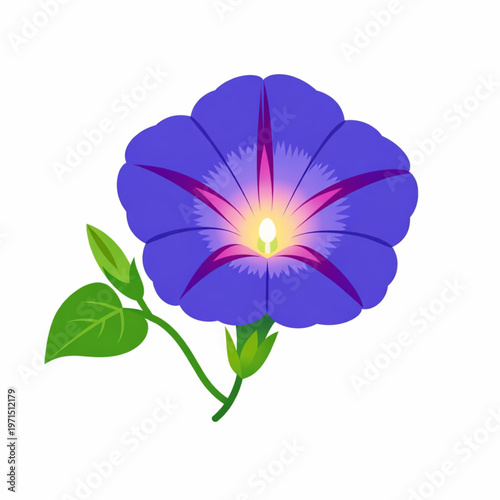 Blue morning glory flower with green leaf vector illustration isolated