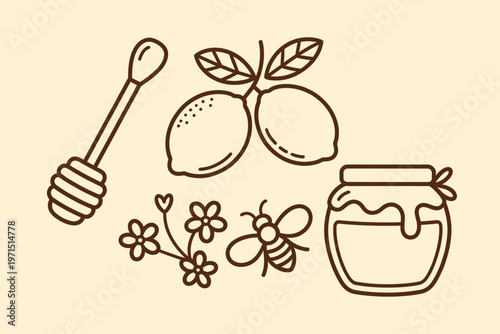 Handdrawn illustration of honey and lemons outline sketch vector illustration design