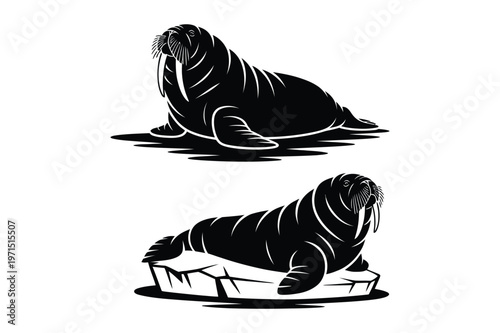 Two walrus silhouettes resting on ground and ice floe vector art