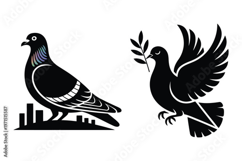 Two pigeons, one on city rooftops and one flying with olive branch, vector illus