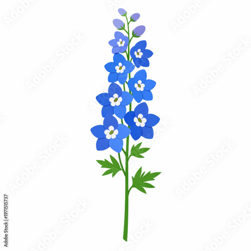 Tall blue delphinium flower spike vector illustration isolated