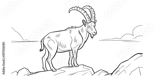 A detailed black and white line art drawing of a majestic ibex standing on a rocky mountain peak Vector, illustration