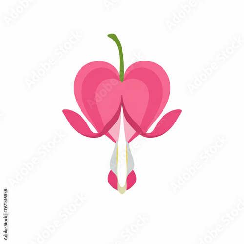 Bleeding Heart Flower Romantic Pink Botanical Design