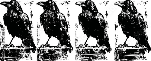 Four black ravens perched on wooden branches, artistic silhouette bird illustration in a row