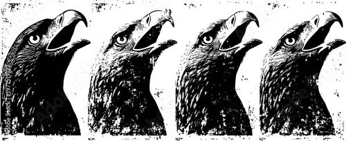 black eagle head silhouette illustrations with open beak in different shading styles, wild bird symbols