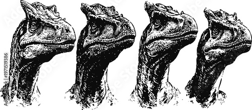 four detailed black and white dinosaur head illustrations facing left in vintage engraving