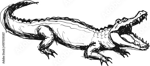 Hand drawn sketch of a crocodile with open mouth showing sharp teeth and scaly body
